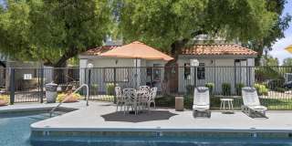 Acacia Hills Gallery 24