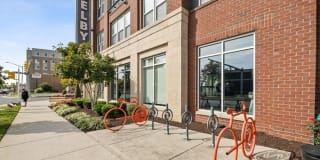 The Shelby - Alexandria Gallery 3