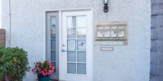 Woodland Gallery 11