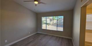 626 Palmwood Lane Gallery 67