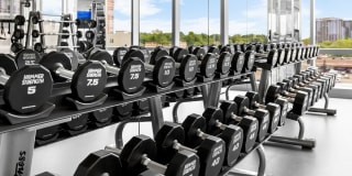 The Modern Gallery 35