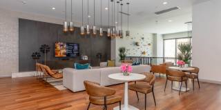 Live Grandscape Gallery 4