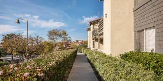 Elan Overlook Laguna Apartments Gallery 8