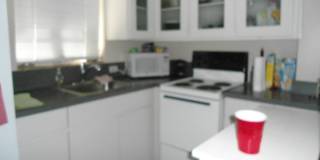 Lake Eola Heights Spacious Rental Lake Eola Heights Spacious Rental Gallery 8