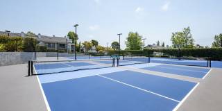 Harbor Pointe Apartments Gallery 42