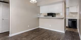 Rise on Cactus Gallery 102