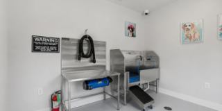 Clear Creek Springdale Apartments Gallery 8