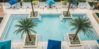 Mondrian on Lake Eola Gallery 22