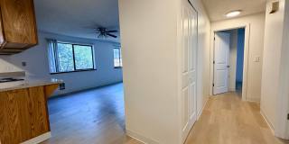 Olive Trees Apartments Gallery 4