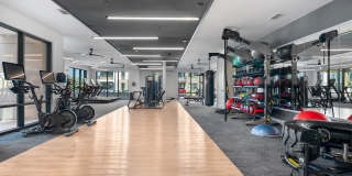 Ellison at the Preserve Gallery 30