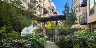 Beautiful Studio Condo by Gasworks Park Gallery 1