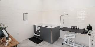 The Dorsey by Alta Gallery 56