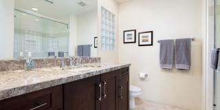 80824 Hermitage Gallery 17