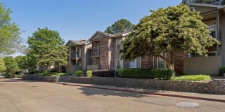 Pear Orchard Gallery 24