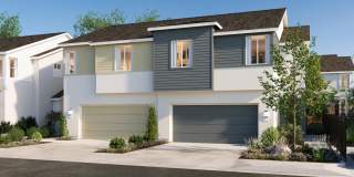 Echo Paired Homes Gallery 25