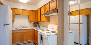 Icon on Pima Gallery 16