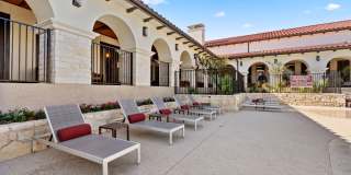 Water Oak Gallery 22