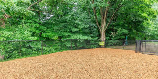 Lakeview Apartments Gallery 5