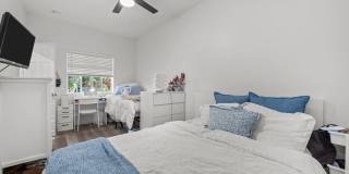 Brand new! Gallery 11