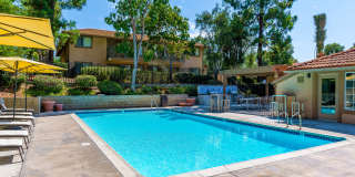 Softwind Point Gallery 1