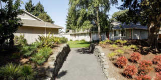 Lineage at Willow Creek Gallery 28