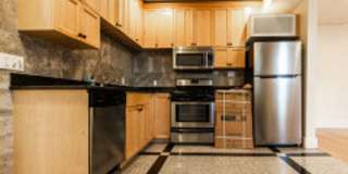 Brookline / BU Central Campus 4 Bed/2 Bath on Babcock St for September 1st.  Students Welcome!!! Gallery 1