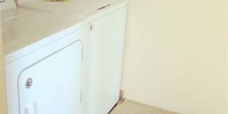 Linden Apartments Gallery 15