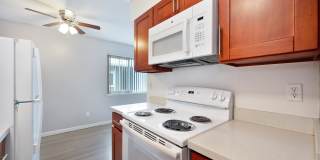 The Canopy Gallery 21