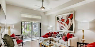 The Caroline Gallery 1