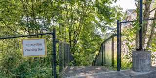 Springbrook Reserve Gallery 7