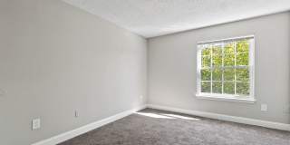 Milestone Gallery 11