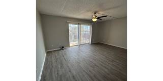 Bellevue Towers Gallery 141