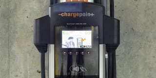 TGM Northshore Gallery 28