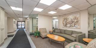 5 Linden Street Gallery 19