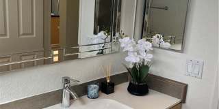 47 Grenada Street Gallery 6