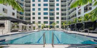 Aster & Links Gallery 13