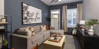 Alta Federal Hill Gallery 3