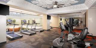 The Standard The Standard Gallery 36