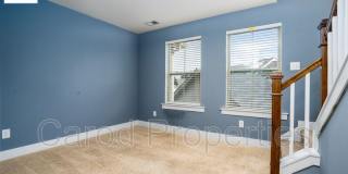 3840 Willow Green Place Gallery 21