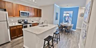 Pointe at Suwanee Station Gallery 29