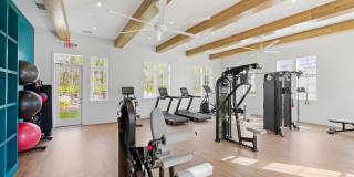 Hamlet Wildlight Gallery 23