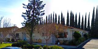 El Modena Gallery 3