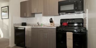 Wood Lee Arms Gallery 2