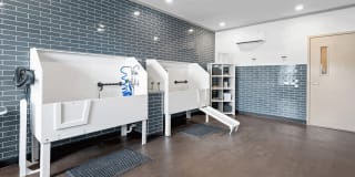 Aria Zionsville Aria Zionsville Gallery 13