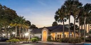 Sabal Palm at Lake Buena Vista Gallery 30