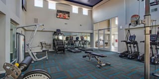 Paseo Park Gallery 13