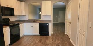 15702 Fishhawk Falls Dr Gallery 9