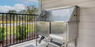 Marbella Palm Coast Gallery 43