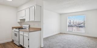 San Rivello Gallery 10