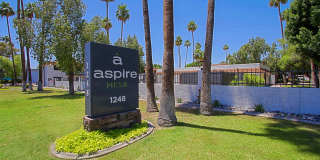 Aspire Mesa Gallery 9